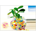 GLITTERED WATER AQUA SOIL BIO CRYSTAL GEL BALL BEADS